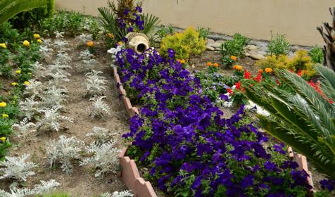 Горный воздух