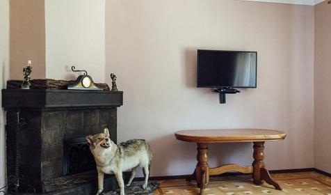 Коттедж. База отдыха Volkov House (Волков хаус), Майкопский р-н, п. Гузерипль