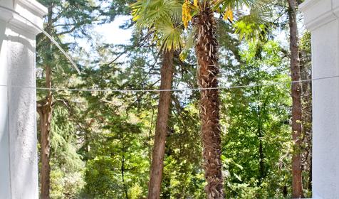 Четырехместный трехкомнатный стандарт