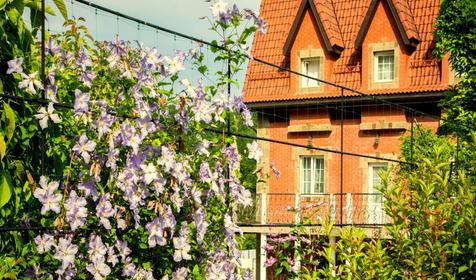 База отдыха "Лесной прованс", г. Горячий ключ, п. Октябрьский