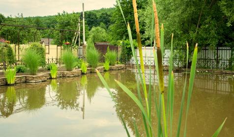 База отдыха "Лесной прованс", г. Горячий ключ, п. Октябрьский