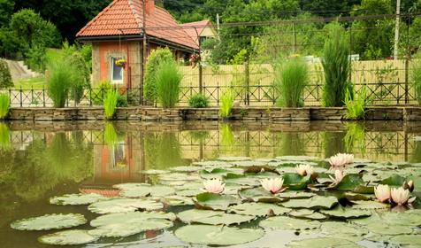 База отдыха "Лесной прованс", г. Горячий ключ, п. Октябрьский