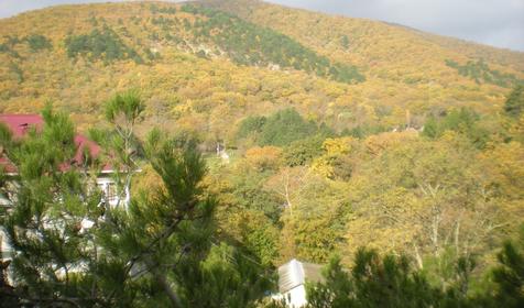 Апартаменты Бетта, г. Геленджик, п. Бетта