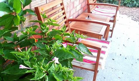 Азовская Русалочка