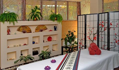 Alean Family Sputnik (Алеан Фэмили Спутник)