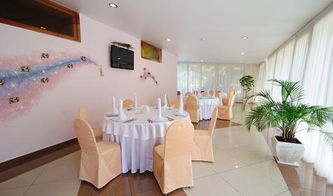 Alean Family Sputnik (Алеан Фэмили Спутник)