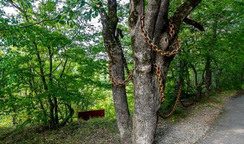 Пансионат отдыха Утес, Туапсинский район, бухта Инал