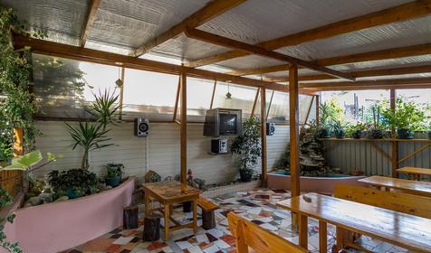 Гостевой дом У Раисы, Лазаревский р-н, г. Сочи