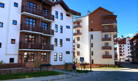 Приют Панды Адлерский район