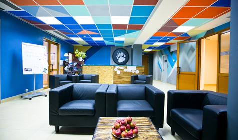 Приют Панды Адлерский район