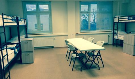 Приют Панды Адлерский район