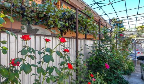 Гостевой дом Ариэль, г. Анапа, п. Витязево