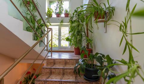 Гостевой дом У Любы, г. Анапа, п. Витязево