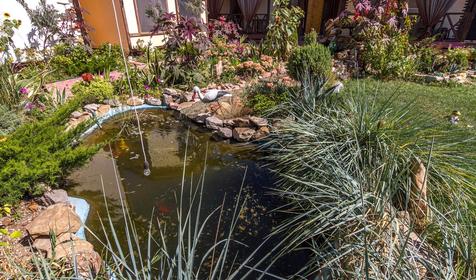 ини-гостиница Жемчужина, Ейский р-н, ст. Должанская