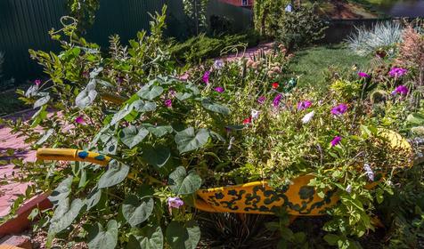 ини-гостиница Жемчужина, Ейский р-н, ст. Должанская