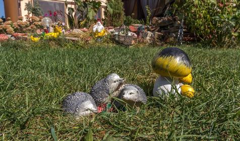 ини-гостиница Жемчужина, Ейский р-н, ст. Должанская