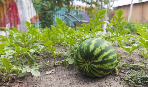 Олимп Хостел Адлер