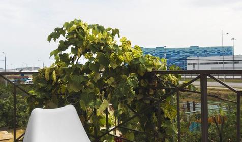 Олимп Хостел Адлер