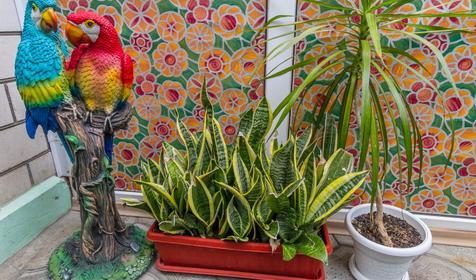 Гостевой дом Gavrish+, г. Анапа