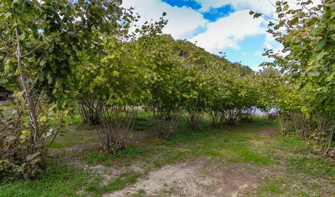 по ул. Черноморская 23а, п. Ольгинка