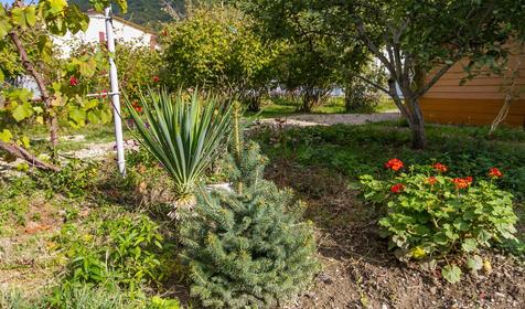 по ул. Черноморская 23а, п. Ольгинка