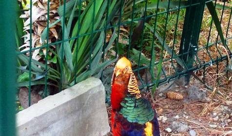 Пансионат Автомобилист, Сочи