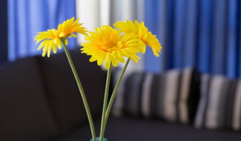 Апарт-отель Розмарин, Адлерский р-н г. Сочи