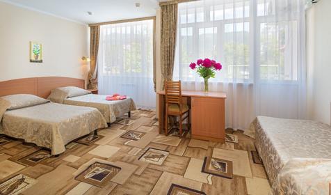 Трехместный номер 1 категории, пансионат Геленджик, г. Геленджик