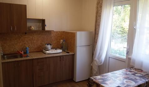 Двухкомнатный четырехместный с кухней