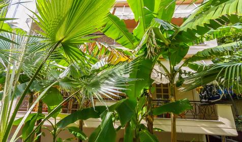 Отель "София", Адлер