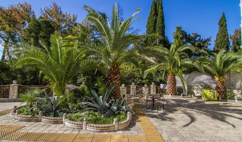 Отель Золотая пальма, г. Сочи, Хостинский район