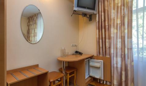 Стандарт с видом на горы. Отель Золотая пальма, г. Сочи, Хостинский район