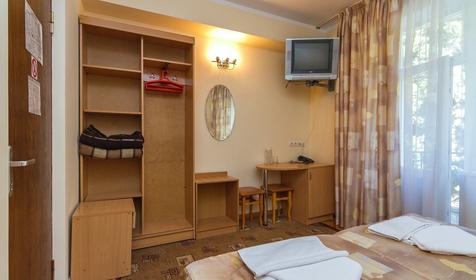 Стандарт с видом на горы. Отель Золотая пальма, г. Сочи, Хостинский район