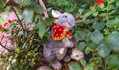 Отель Алые паруса, г. Анапа