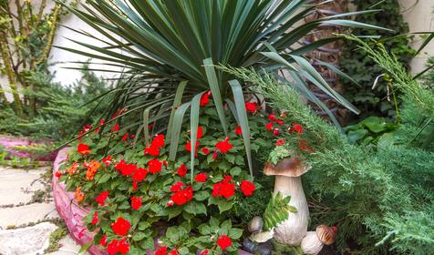 Отель Алые паруса, г. Анапа