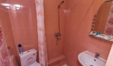 Двухместный стандарт с балконом. Гостевой дом "Король Лев", г. Сочи, п. Горный воздух