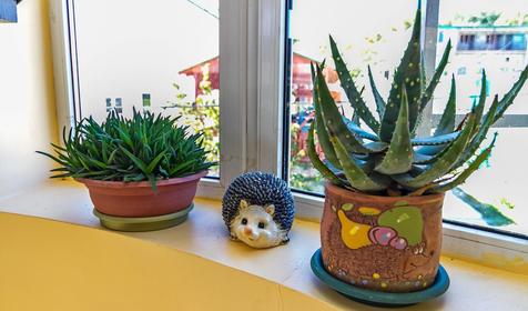 Мини-гостиница Ёжик, Туапсинский район, п. Джубга