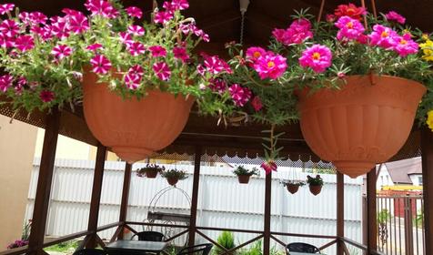 Гостевой дом Уют, Адлерский район, Сочи