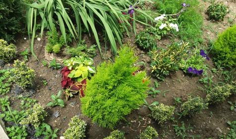 Гостевой дом Уют, Адлерский район, Сочи