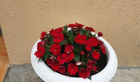 Гостевой дом Уют, Адлерский район, Сочи