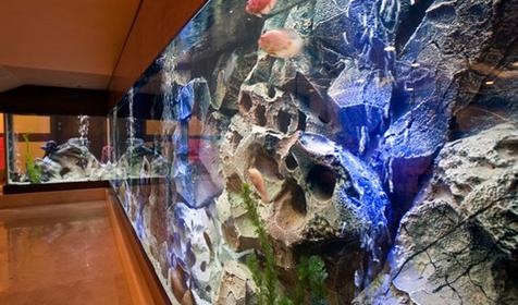 Оздоровительный комплекс "Дагомыс" Сочи, Лазаревский район, п. Дагомыс