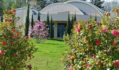 Оздоровительный комплекс "Дагомыс" Сочи, Лазаревский район, п. Дагомыс