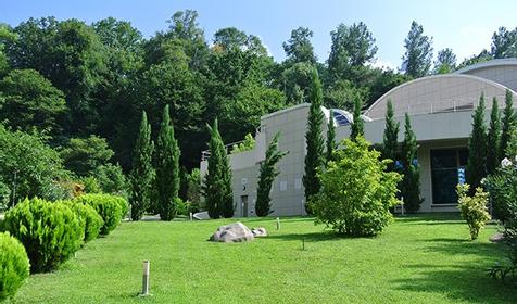 Оздоровительный комплекс "Дагомыс" Сочи, Лазаревский район, п. Дагомыс
