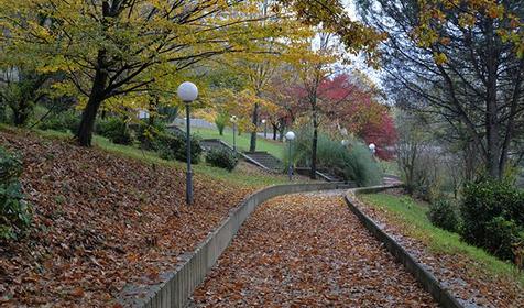 Оздоровительный комплекс "Дагомыс" Сочи, Лазаревский район, п. Дагомыс