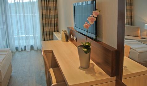 Оздоровительный комплекс "Дагомыс" Сочи, Лазаревский район, п. Дагомыс номер стандарт dbl