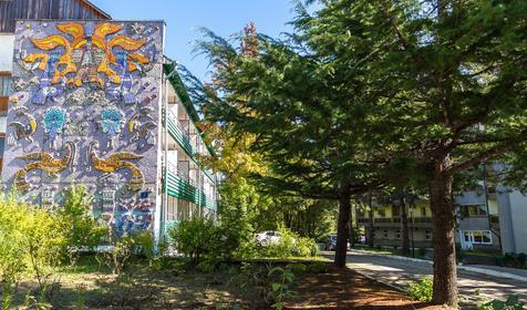 Территория. Пансионат Химик, Туапсинский район, п. Новомихайловский