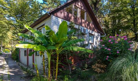 Коттедж. Пансионат Химик, Туапсинский район, п. Новомихайловский