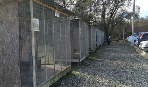 Старая Мельница