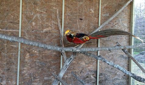 Старая Мельница