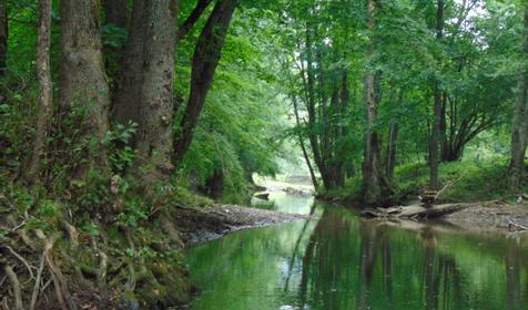 Гостевой дом У Макса, Северский район, Тхамаха